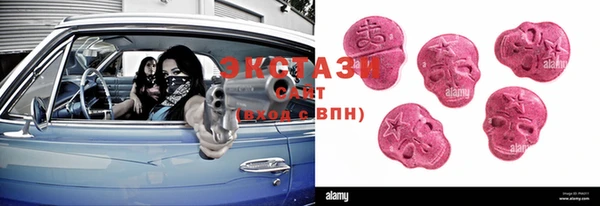 ECSTASY Богданович