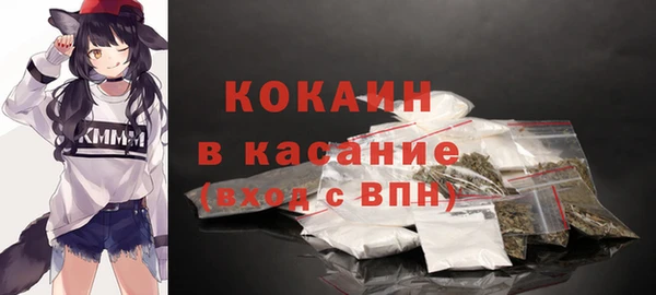 дурь Богородицк
