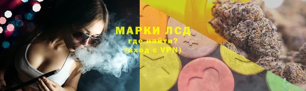 сатива Баксан