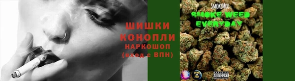 ECSTASY Богданович