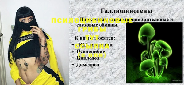 дурь Богородицк