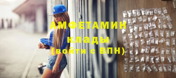 ECSTASY Богданович